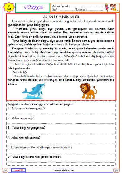 2. Sınıf Türkçe Okuma ve Anlama Metni (Aslan ile Yunus Balığı) Etkinliği
